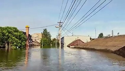 Ukrainian Saxophonist 🎷