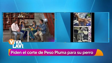 Familia le corta el pelo a su perro como 'Peso Pluma'