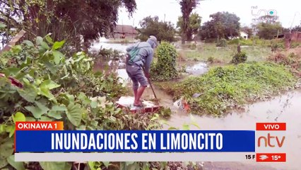 La comunidad de Limoncitos sufrió gran pérdida de sembradíos