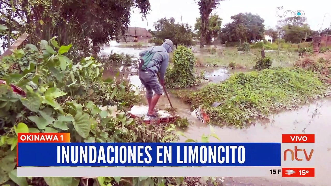 La comunidad de Limoncitos sufrió gran pérdida de sembradíos