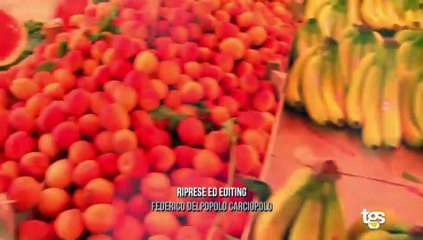 Di Che Pasta Sei - Puntata 2 del 14 giugno 2023