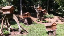 mqn-Pueblo Zumbador- La primera comunidad de abejas de Costa Rica.-140623
