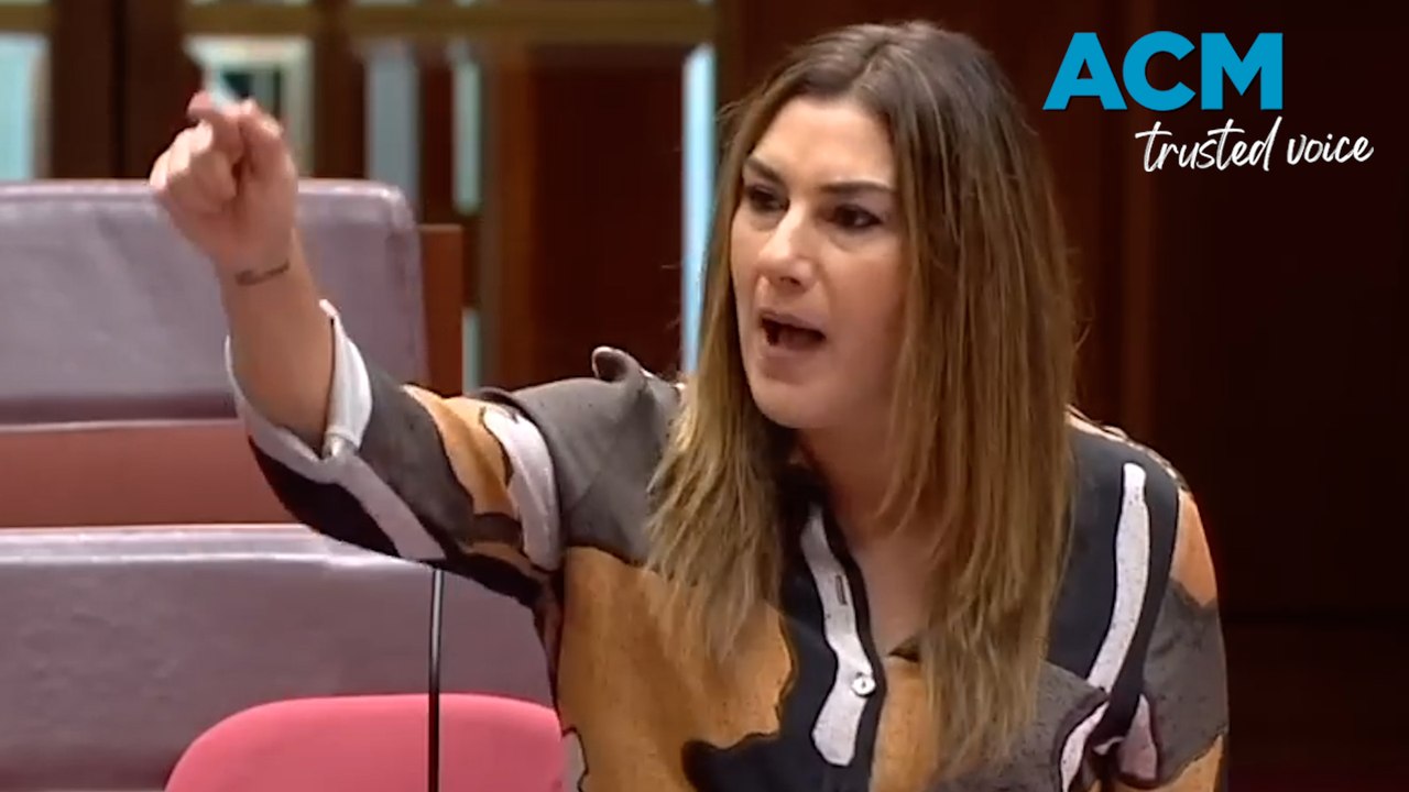 Lidia Thorpe withdraws sexual assault allegations against senator David Van