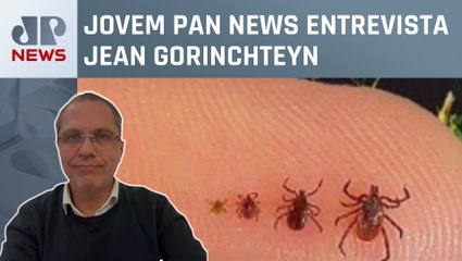 Ex-secretário de Saúde de SP fala sobre a febre maculosa