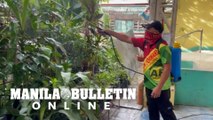 Barangay Matandang Balara conducts clean-up drive against Dengue