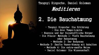 2. Die Bauchatmung - Meditieren - Tsognyi Rinpoche, Daniel Goleman