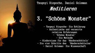 3. 'Schöne Monster' - Meditieren   Tsognyi Rinpoche, Daniel Goleman
