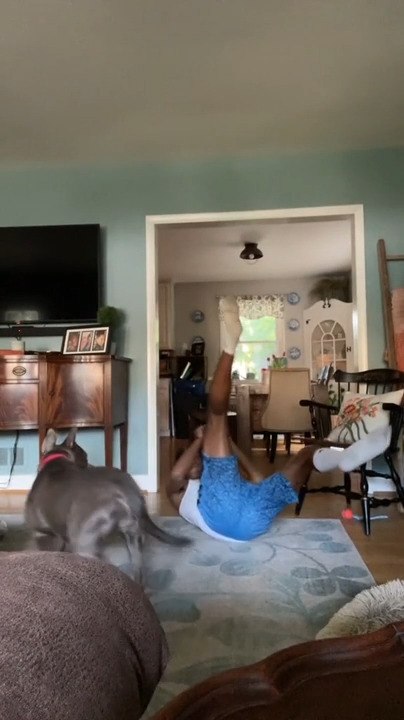 man trips over dog