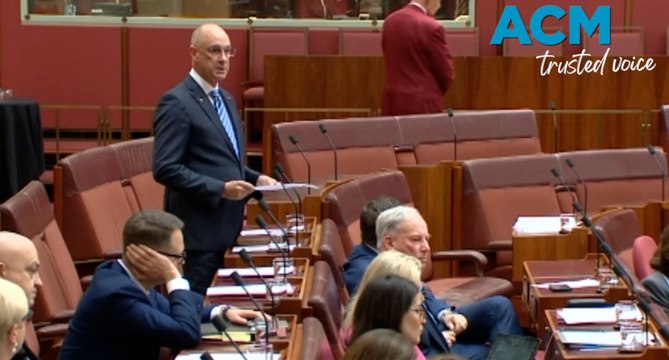 'Concocted from the beginning': Senator David Van denies Lidia Thorpe's allegations