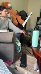 What It's Like to Play the Flute When You Have Cats