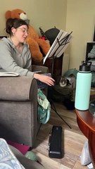 What It's Like to Play the Flute When You Have Cats