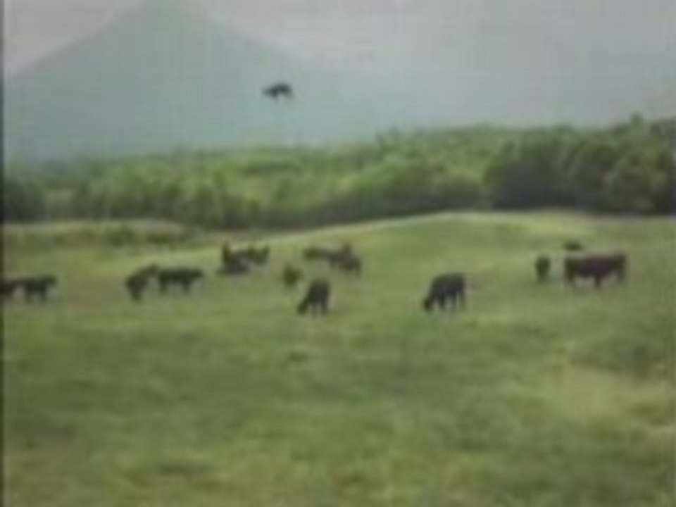 UFO, 2