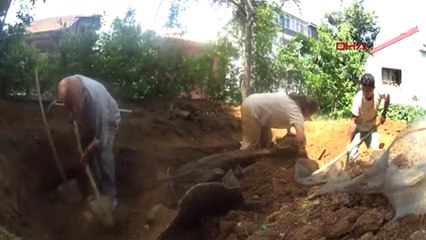 Gömülen balinanın kemikleri, 3 yıl sonra bilimin hizmetinde