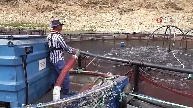 Elazığ'dan dünyaya Türk Somonu: İhracat yüzde yüz artarak 60 milyon dolara ulaştı