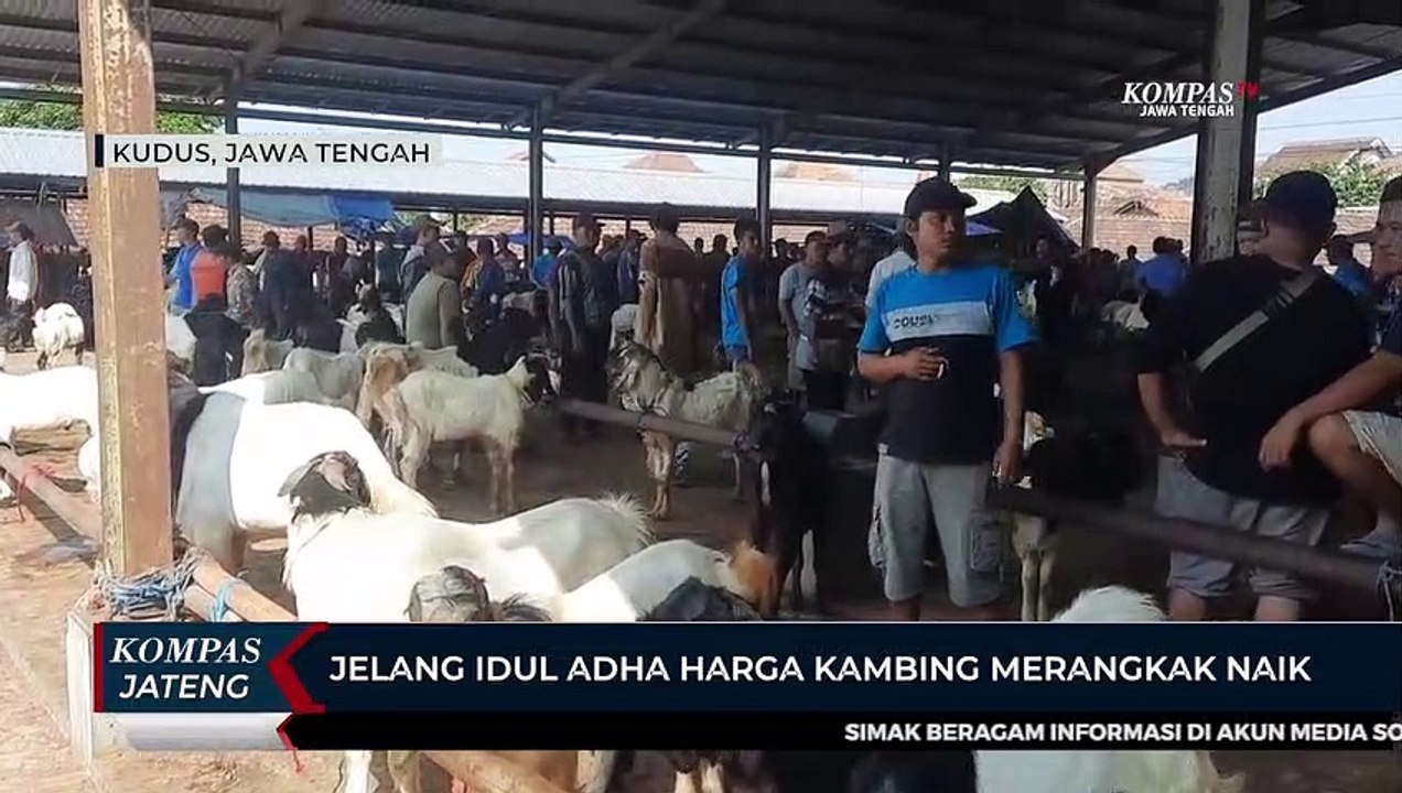 Jelang Idul Adha Harga Kambing Merangkak Naik