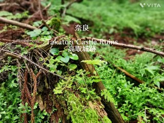 Nara  Takatori castle ruins  高取城跡