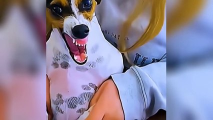 Can you watch without laughing? 100% Impossible