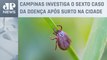 Governo de SP faz alerta sobre locais de riscos e sintomas da febre maculosa