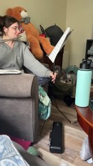 What It's Like to Play the Flute When You Have Cats