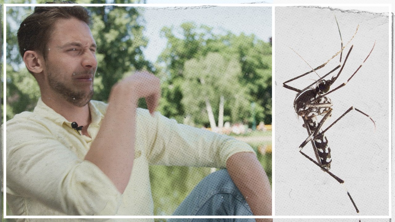 Wie man sich am besten vor Gelsen schützt