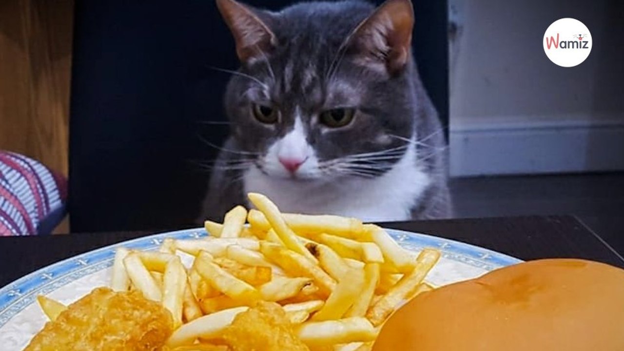 Tous les jours à la pause déjeuner, il se rend chez sa fiancée  mais ce n'est pas pour la voir...