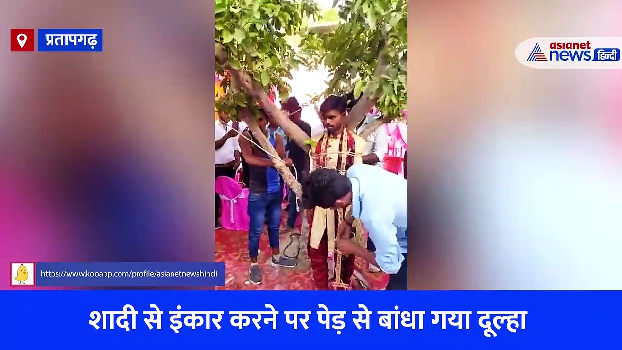 जयमाला के बाद पेड़ से बांध दिए गए 'दूल्हेराजा', अनोखी शादी की खूब हो रही चर्चा-देखें Video