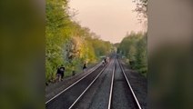 Children playing on live tracks force train driver to make emergency stop