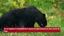 'Je suppose qu'il est aussi en vacances ! ' : Ils se baignent tranquillement quand ils aperçoivent un ours sortir de l’eau