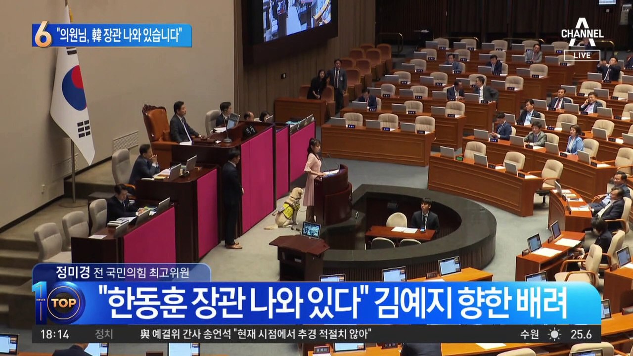 “의원님, 장관 나와 있습니다”…시각장애 의원 배려한 한동훈