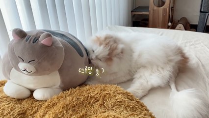 ☁️ Can't believe they are my brothers (ENG SUB)