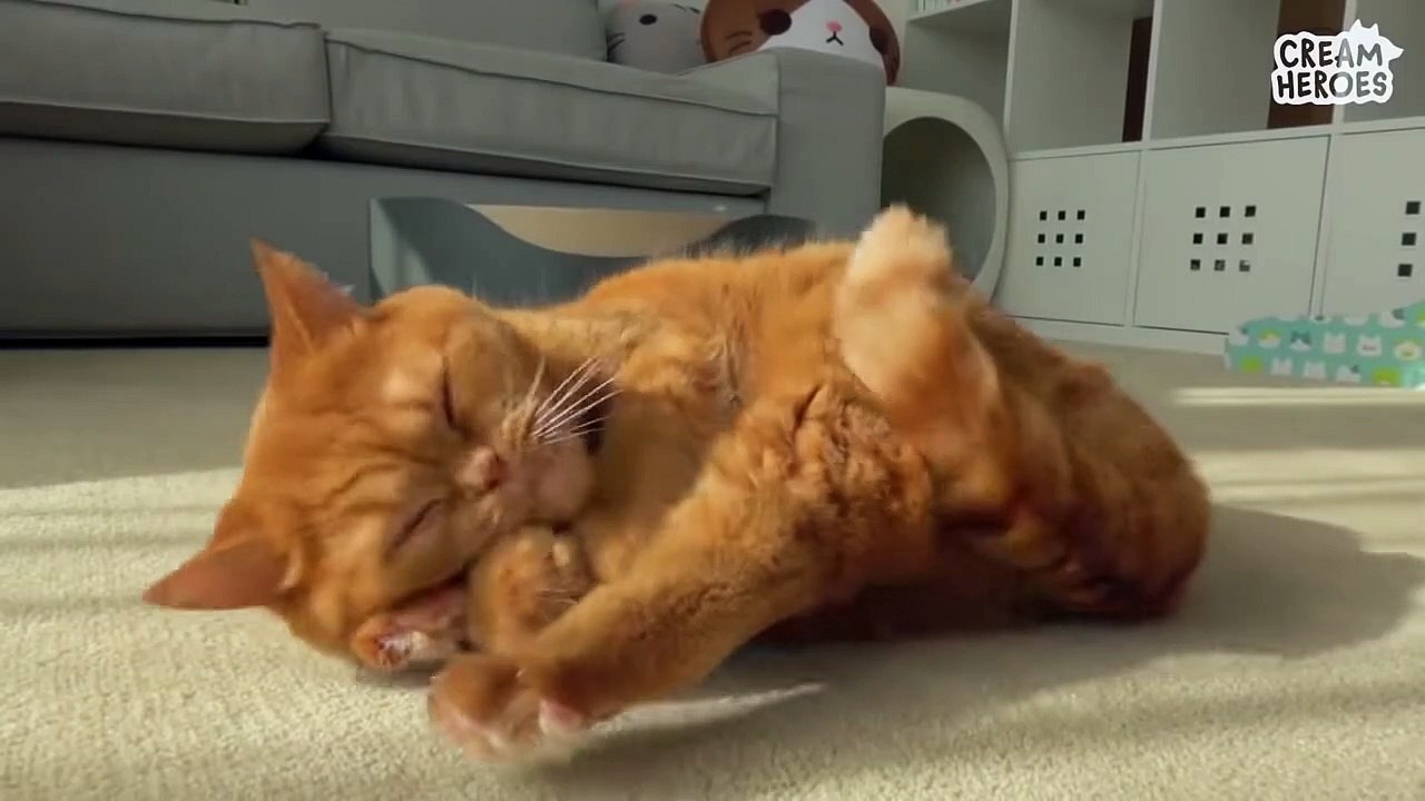 It is grooming time~