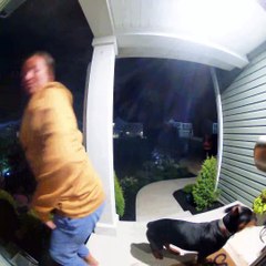 Neighbor's Dog Runs Into My Door