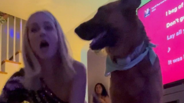 'Mamma Mia went wrong!' - Dog spoils girls' disco party by breaking a charming crawling chain