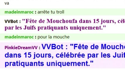 VV Préparez vos mouches