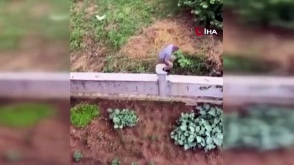 Il s'est évadé alors qu'on le mettait dans la voiture de l'équipe pour être emmené en prison, il a été attrapé dans l'entrepôt sur le terrain.