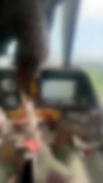 Bien que l'aigle qui s'est écrasé dans l'avion soit entré dans le cockpit en verre, le pilote a gardé son sang-froid