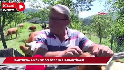Bartın'da 4 köy ve beldede şap karantinası