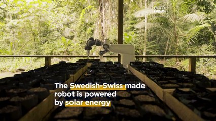 Conservationists in Peru are turning to robots to help reforest the Amazon