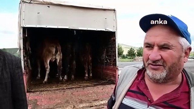 Yozgat'ta canlı hayvan pazarları yeniden açıldı