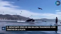 El impactante vídeo de una ballena tragándose a dos turistas en la playa