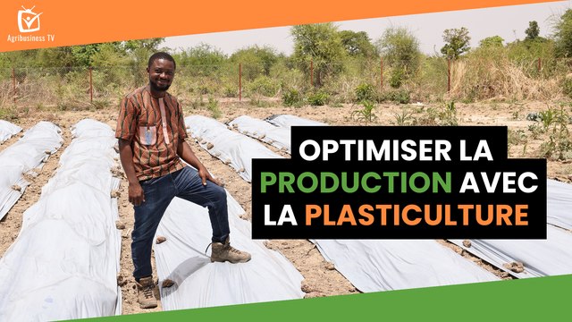 Burkina Faso : Optimiser la production avec la plasticulture