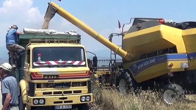 Buğday Üreticileri Hasat İçin Zamanla Yarışıyor