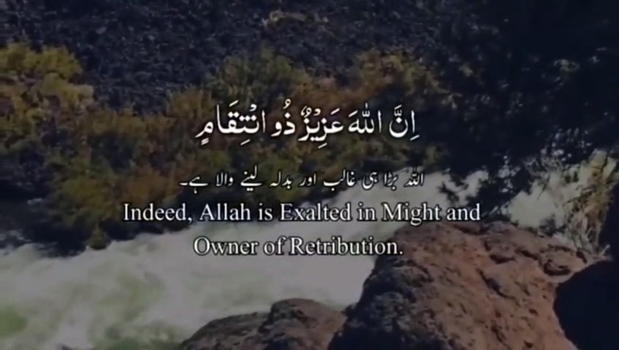 Quran whatsapp status __ Quran tilawat __ Quran Urdu _ Quran with urdu