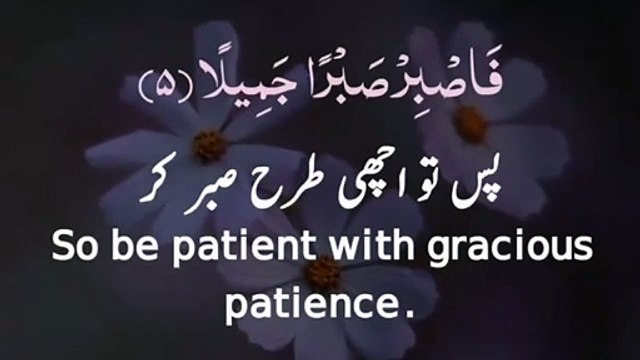 Quran whatsapp status __ Quran tilawat __ Quran Urdu __ Quran islamic status (1)