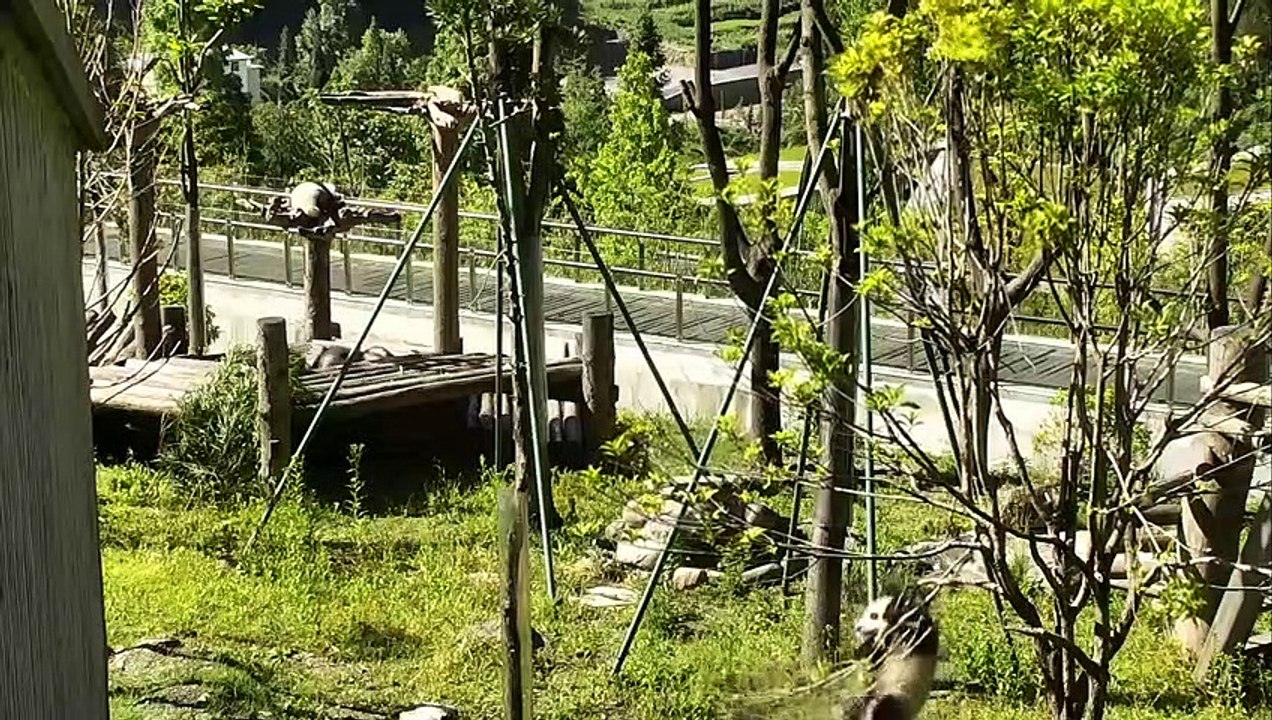 test testt test testt test testt