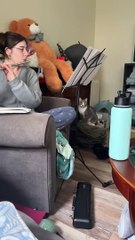 What It's Like to Play the Flute When You Have Cats