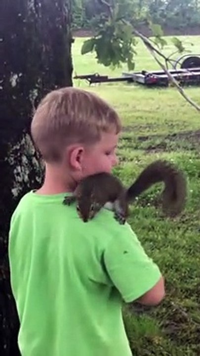 Earl the Squirrel Plays With Boy