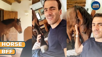 BFFFs with a HORSE! He lives in my HOUSE and LOVES a CUDDLE!