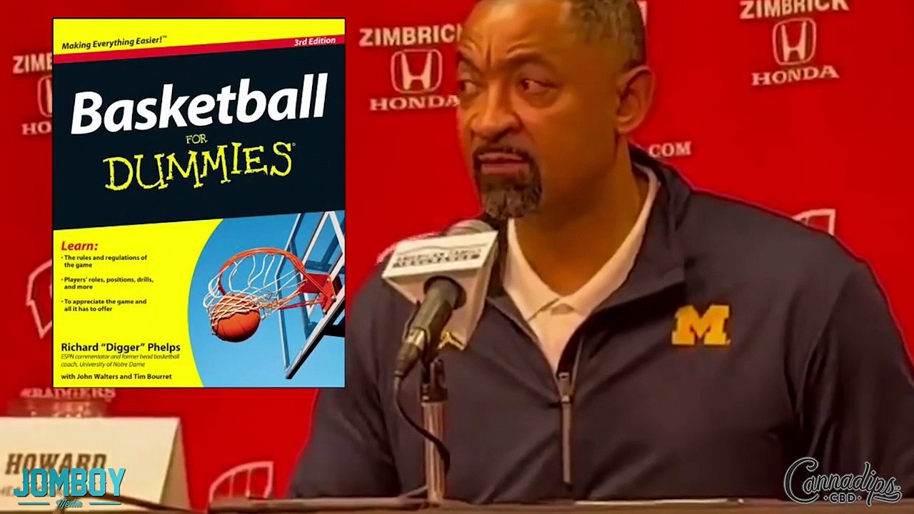 Michigan Coach hits Wisconsin Coach in the face, a breakdown - video