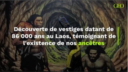 Découverte de vestiges datant de 86 000 ans au Laos, témoignant de l'existence de nos ancêtres